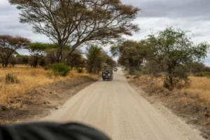 First Time Safari Traveler