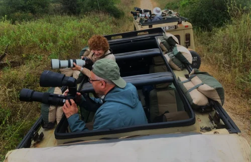category-first-safari
